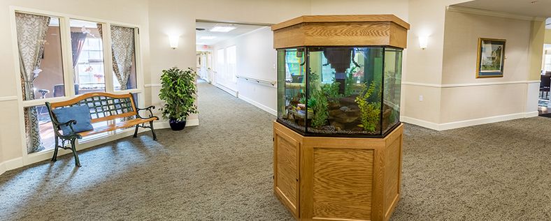 A hallway featuring a large aquarium and potted plants, with carpeted flooring.