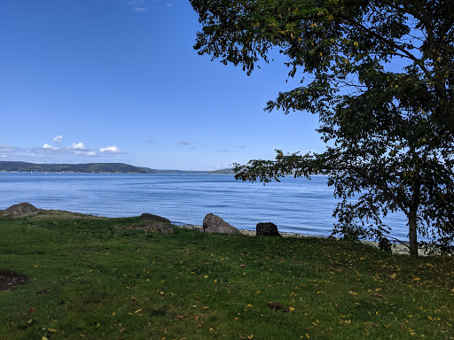 A serene view of the calm waters under a clear blue sky, framed by a lush green area and a tree.
