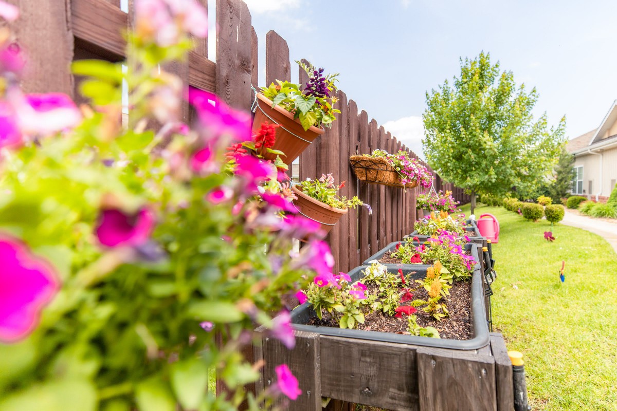 A vibrant garden with colorful flowers in planters along a wooden fence.