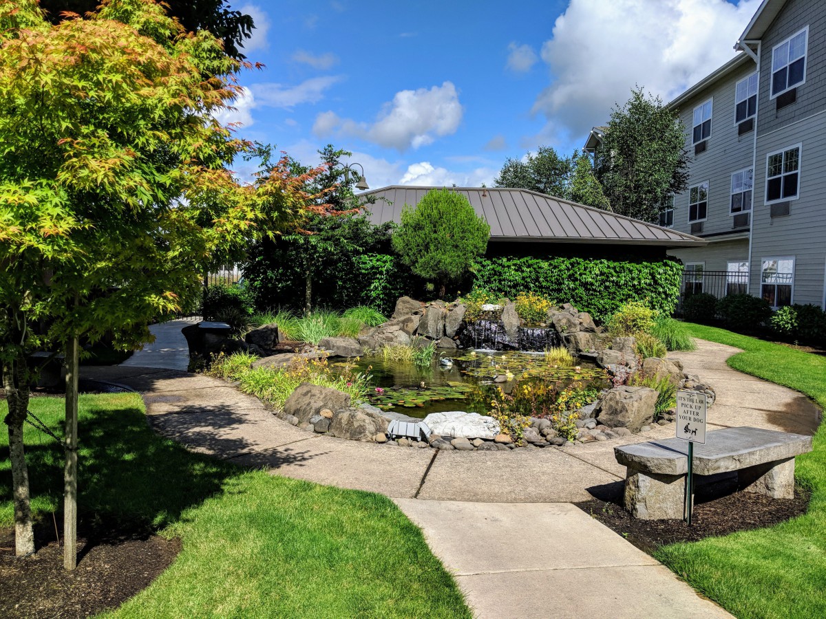 A serene garden with a pond and surrounding pathways under a partly cloudy sky near a building.