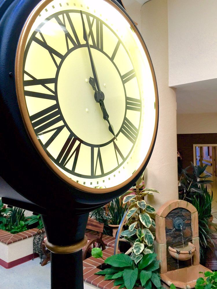 An indoor setting featuring a large clock with Roman numerals surrounded by lush plants.