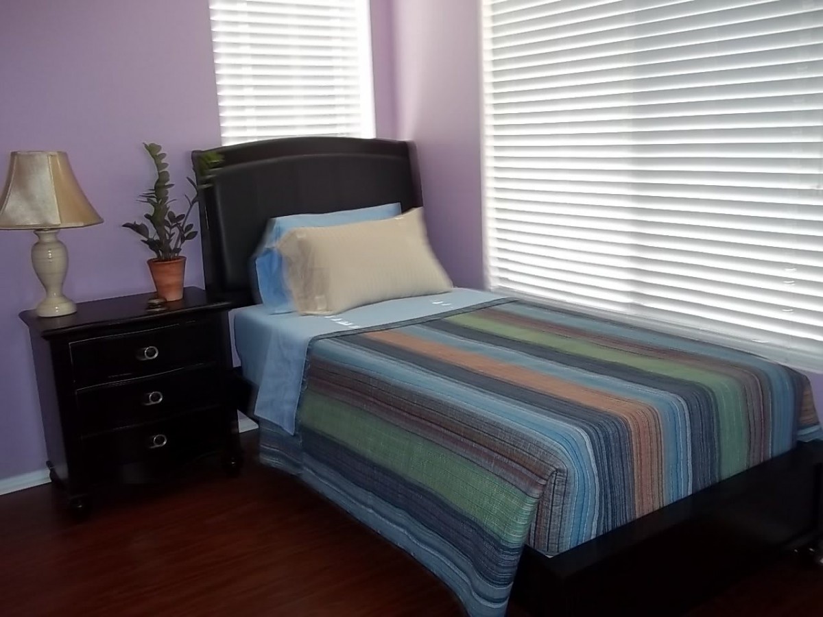 A tidy bedroom with a single bed featuring striped bedding, next to a nightstand with a potted plant. The room has purple walls and large windows with blinds.