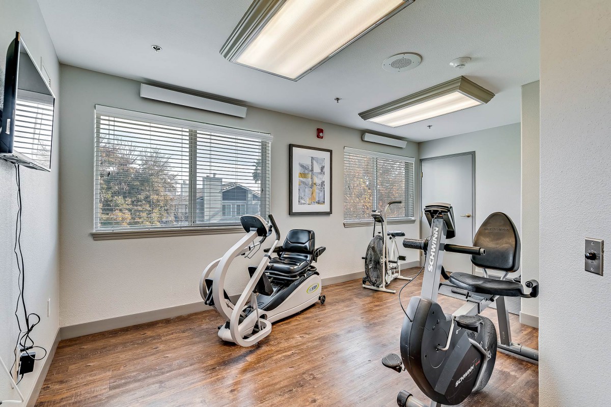 A modern gym with various cardio exercise machines and bright lighting.
