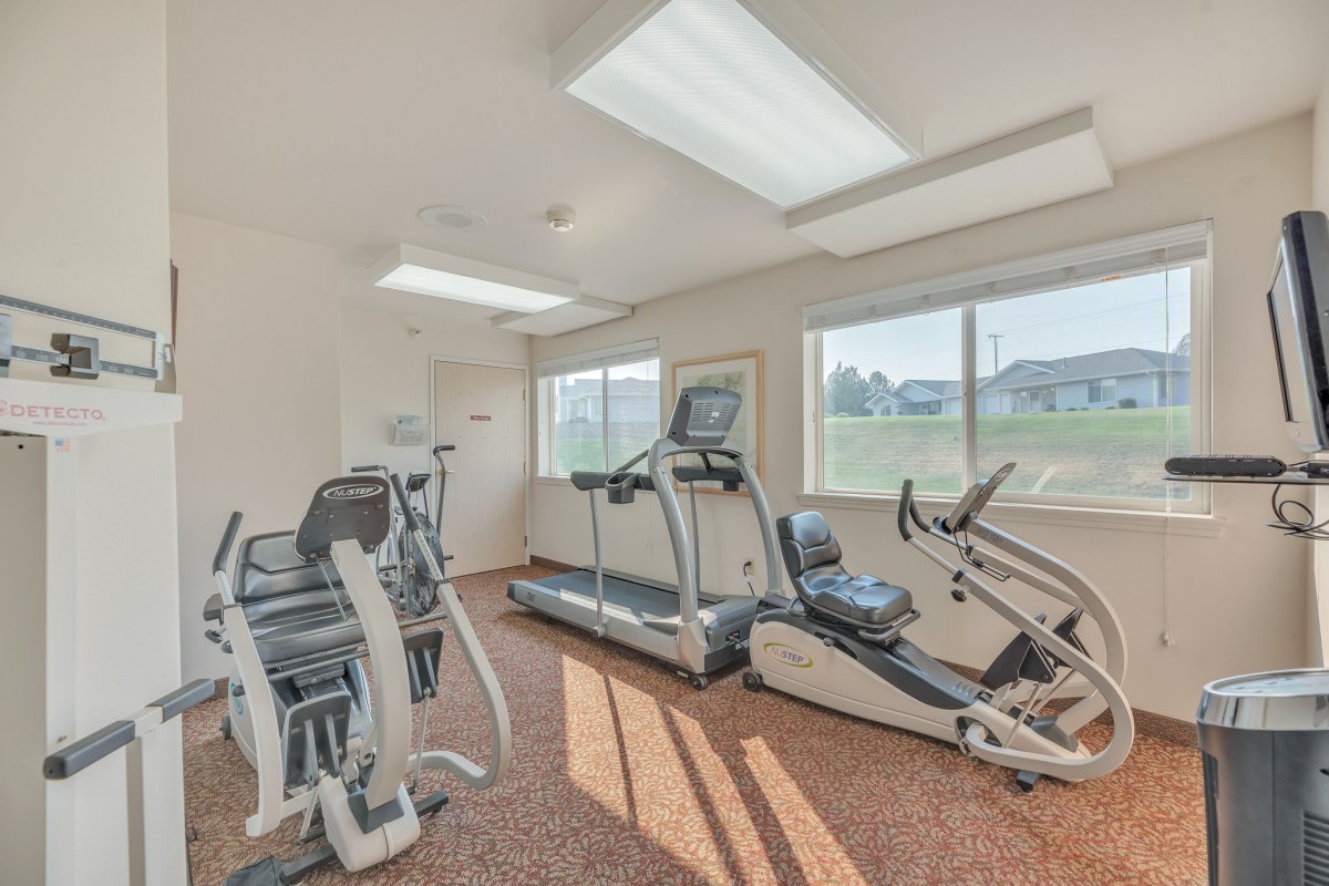 A well-lit gym room with treadmills and elliptical machines by the windows.