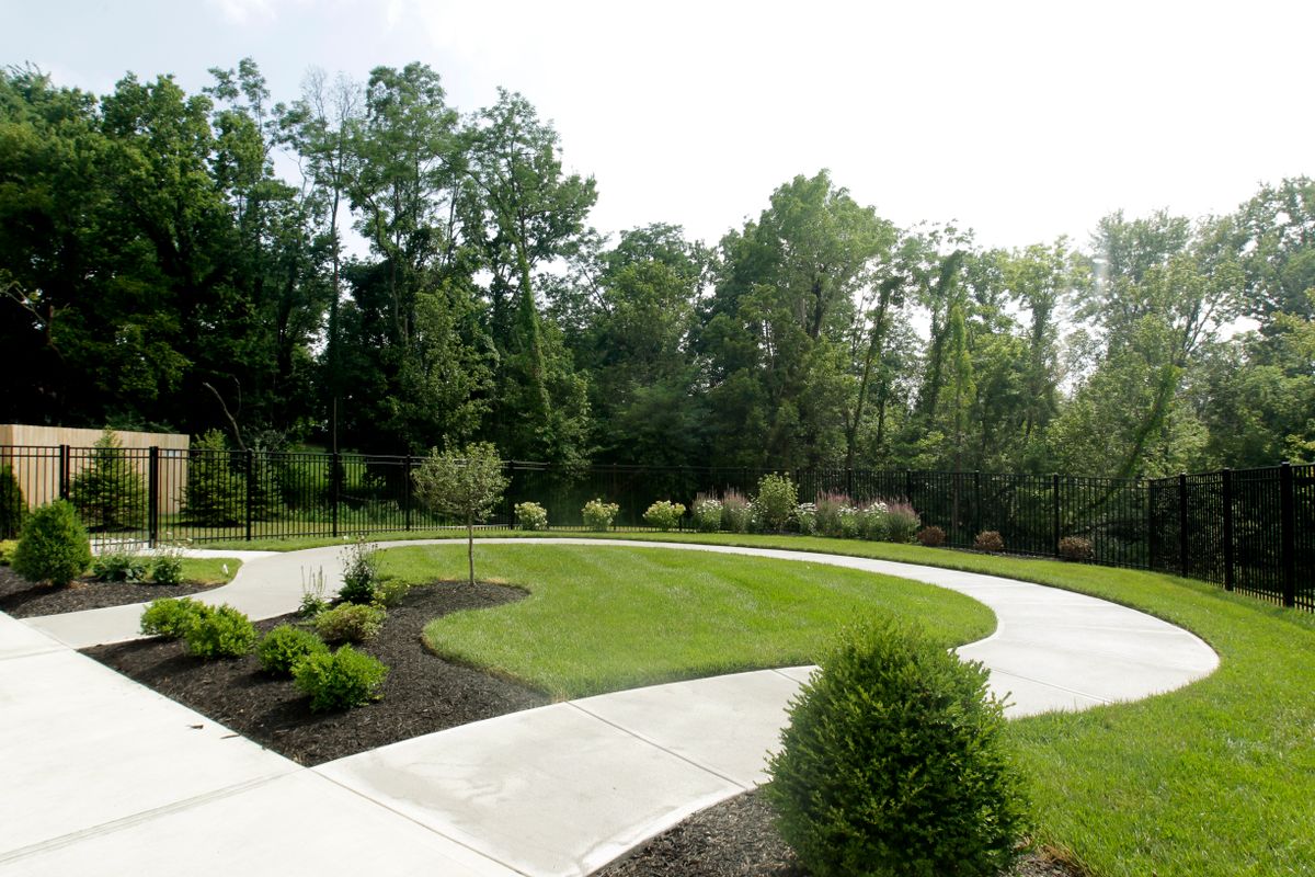 A landscaped garden with a winding pathway surrounded by lush greenery and trees.