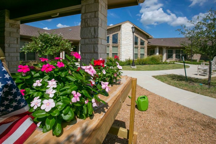 A vibrant garden with colorful flowers in front of a modern building.