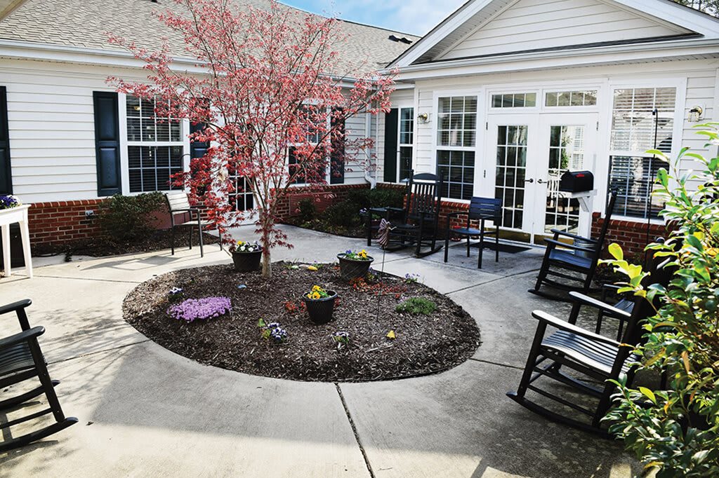 A peaceful courtyard with a flowering tree and outdoor seating.