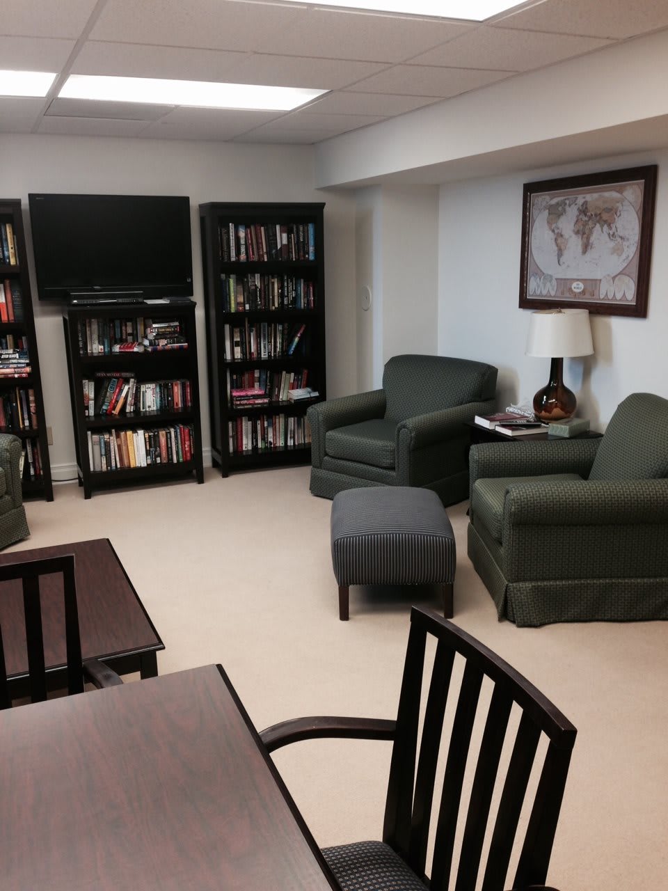 Cozy living room with bookshelves, armchairs, and a television.