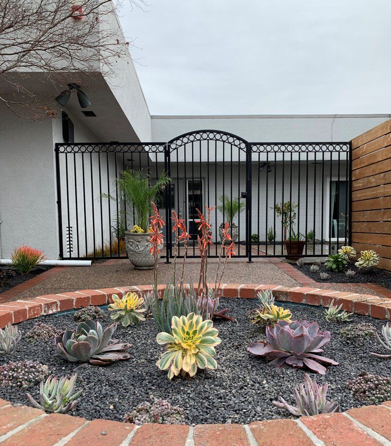 San Bruno Skilled Nursing
