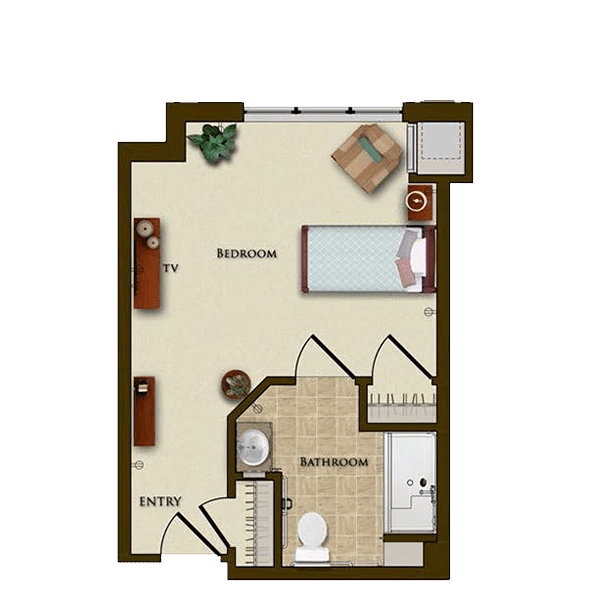 This is a floor plan of a studio apartment, showcasing the arrangement of furniture and layout of different areas.