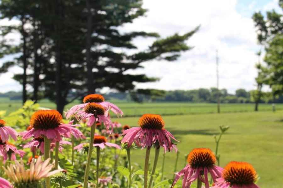 Sunny Acres Nursing Home