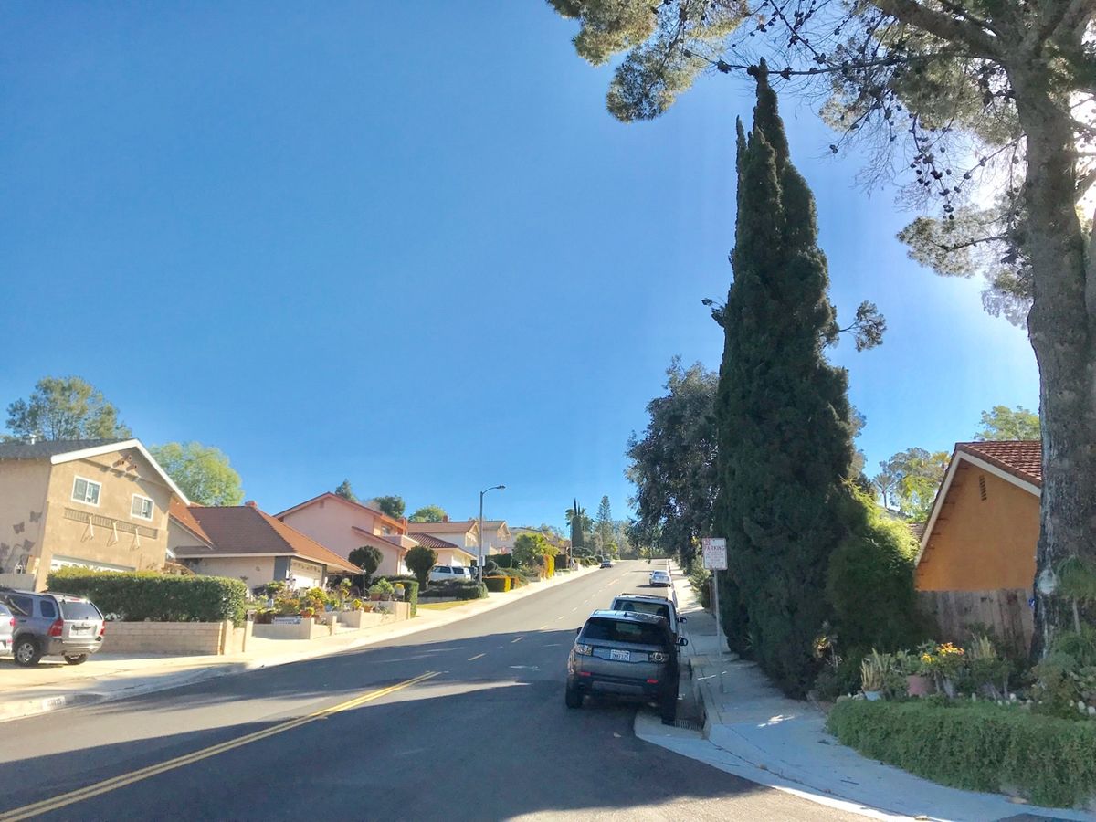 A sunny day on a suburban street lined with houses and trees.