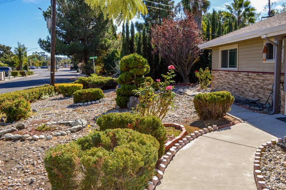 A well-maintained garden with trimmed bushes, trees, and a rock-covered pathway under the bright sun.