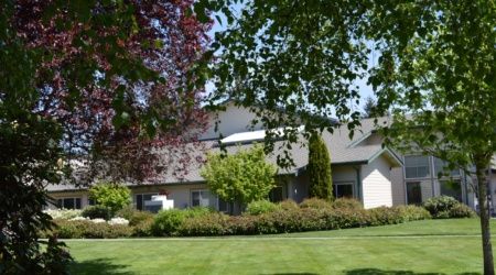 A residential house surrounded by lush greenery with a well-maintained lawn.