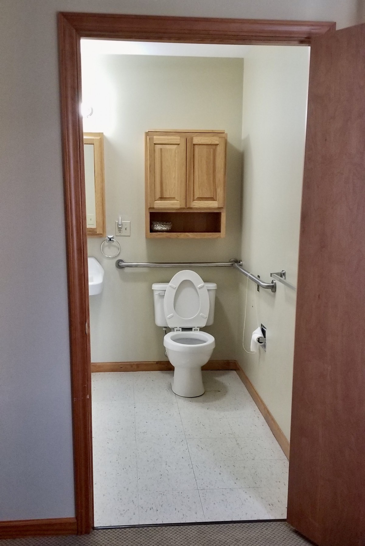 A bathroom with a toilet, sink, mirror, and wall cabinet, featuring handrails for accessibility.