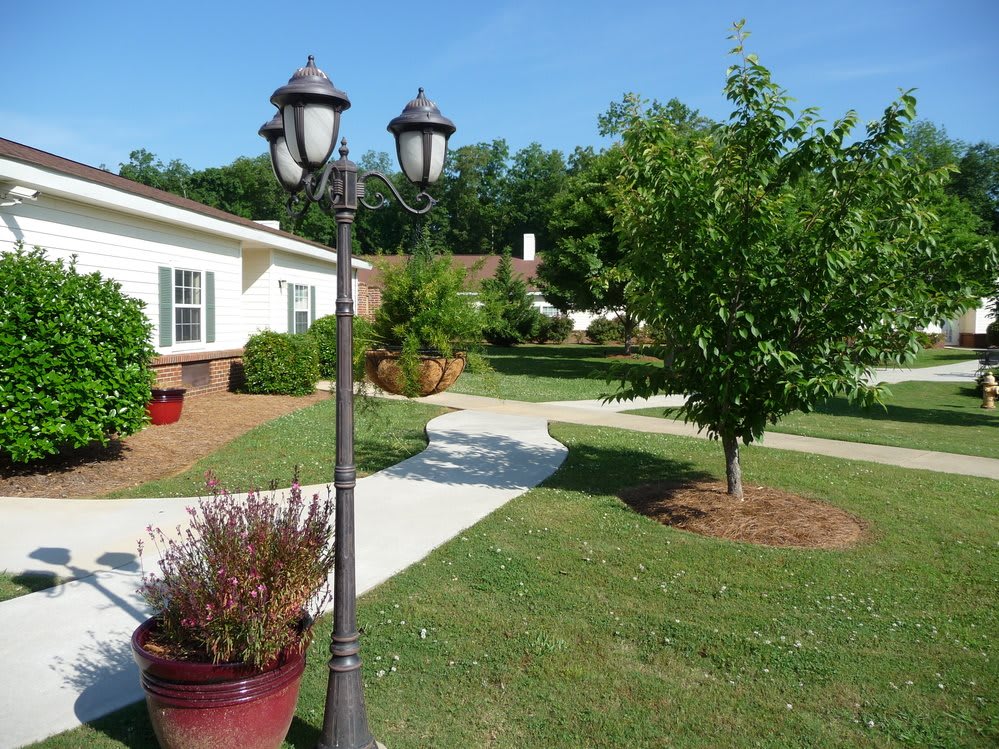 A well-maintained garden with a pathway, lamp post, and surrounding greenery in front of a house.