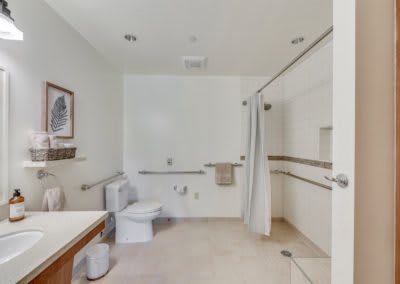 Accessible bathroom with a shower and grab bars.