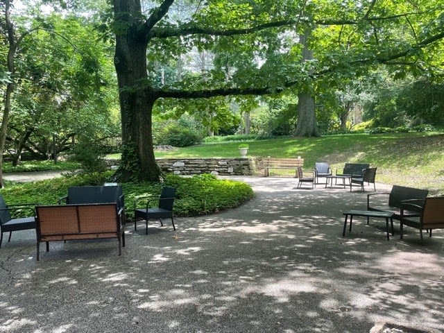 A peaceful park scene with chairs and abundant greenery.