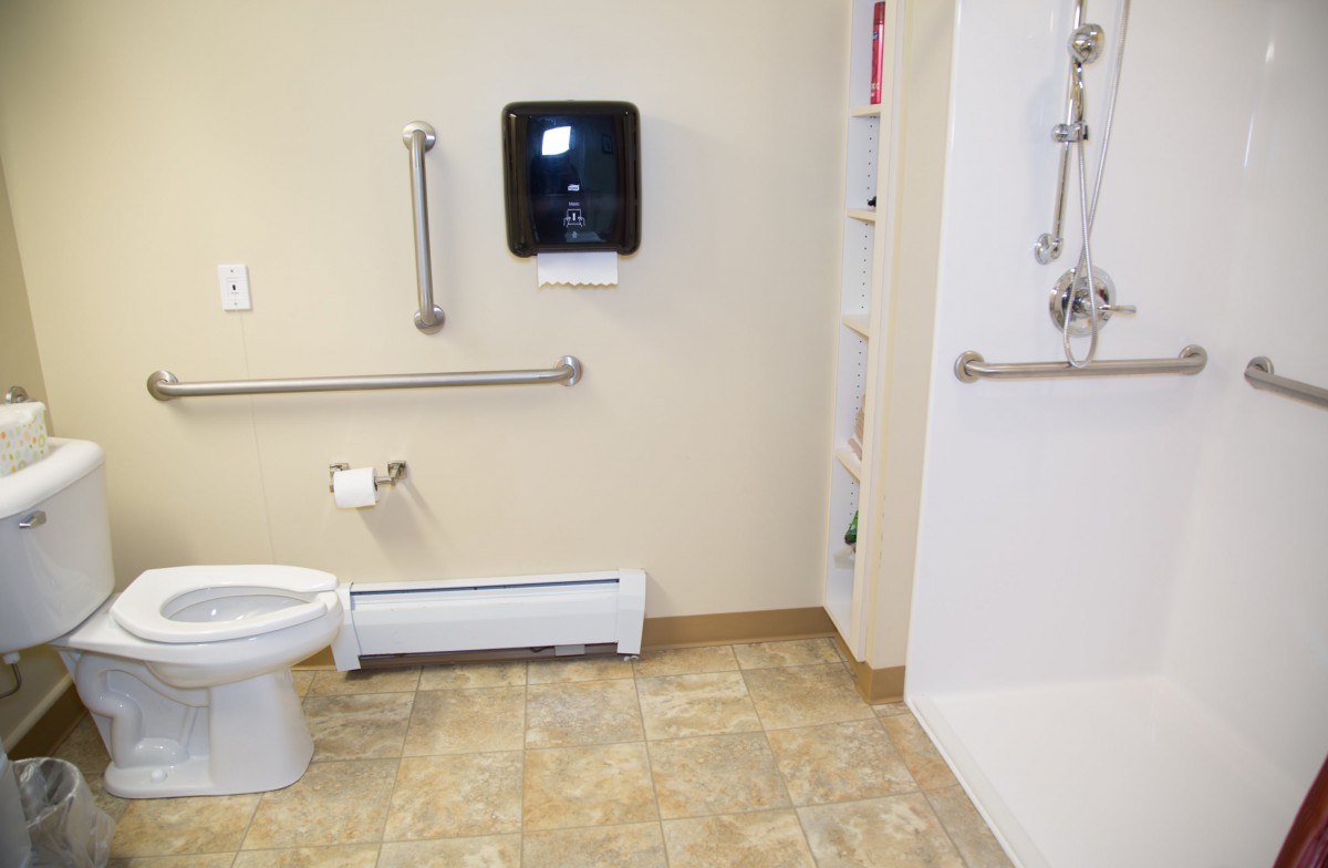 An accessible bathroom featuring grab bars, a toilet, and a shower area.