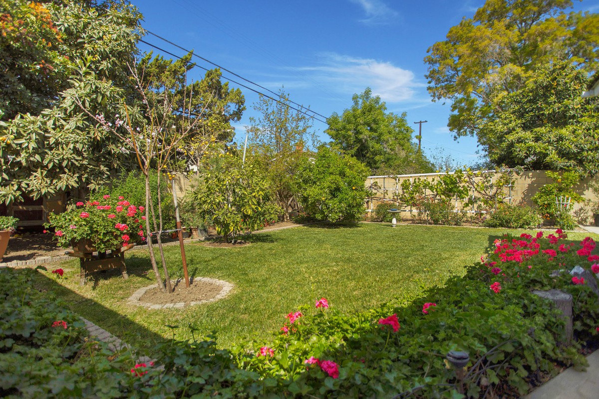 A beautiful garden with lush greenery and colorful flowers under a clear blue sky.