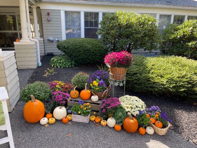 An inviting autumn display featuring pumpkins and vibrant flowers in a garden setting.