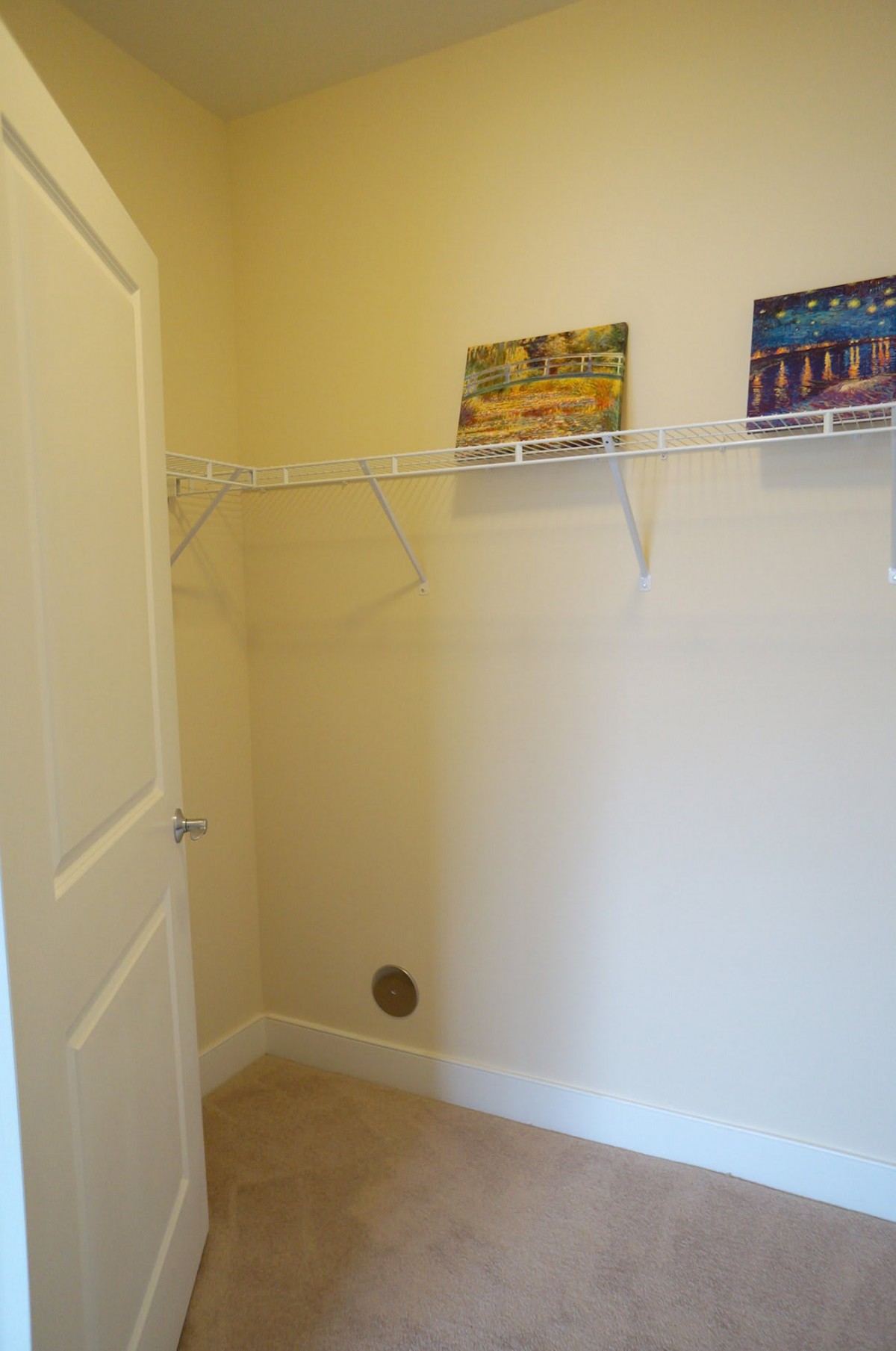 An empty closet with wire shelving installed along the walls.