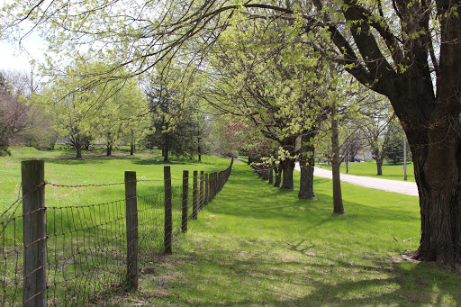 A serene pathway lined with trees and a rustic fence, inviting peaceful walks in nature.