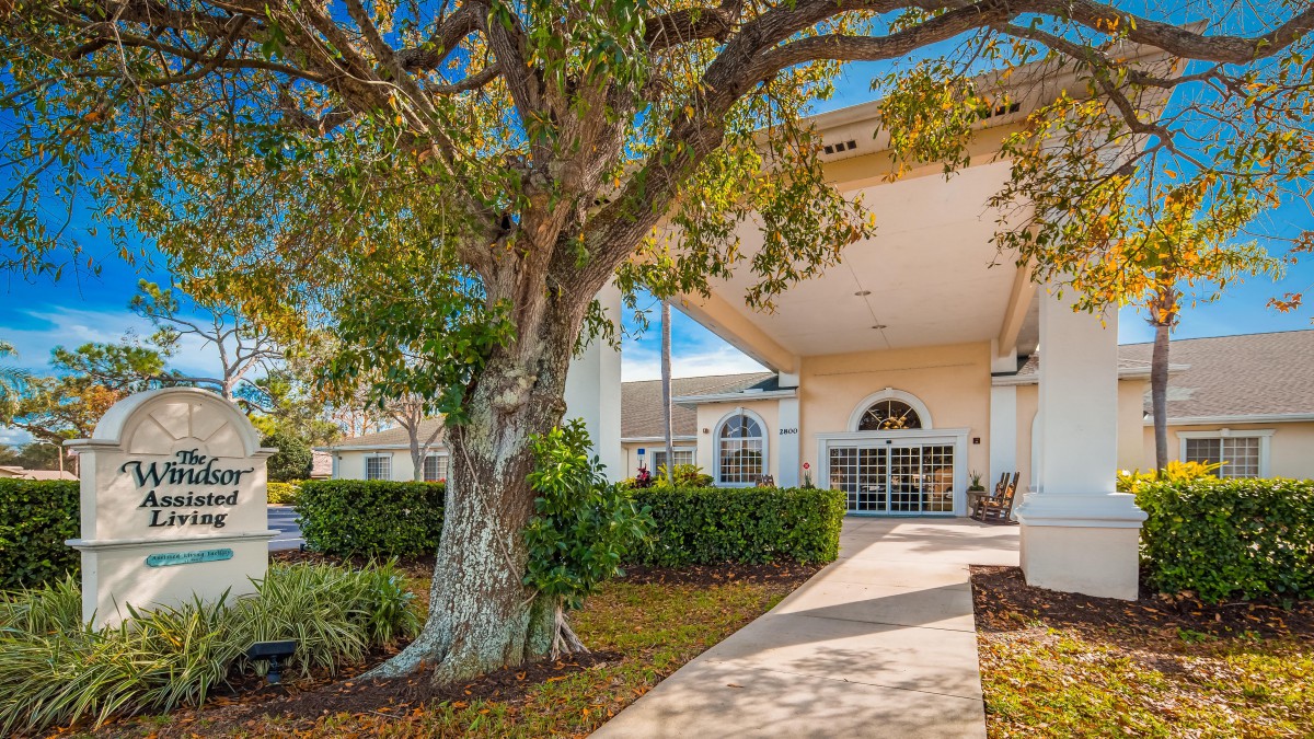 A building entrance with a large tree and landscaped walkway.