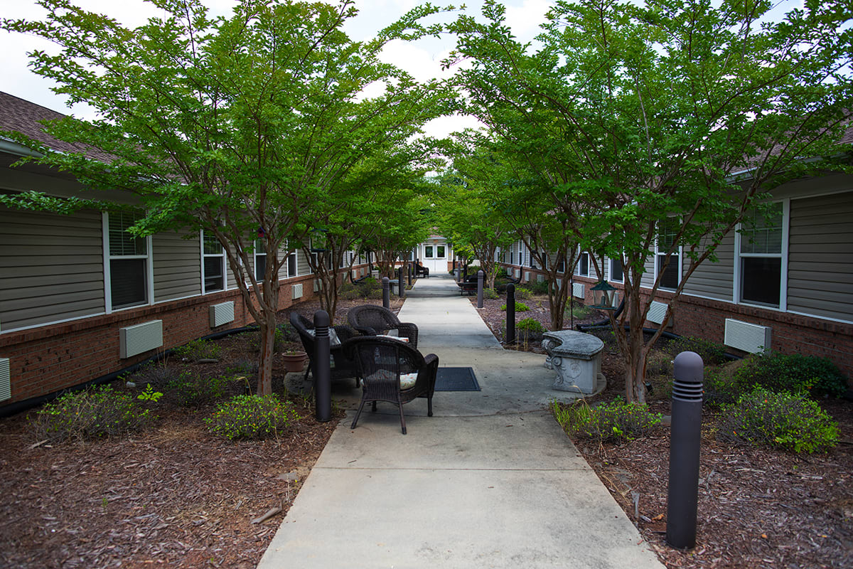 A pedestrian pathway lined with trees and benches, set between two buildings.