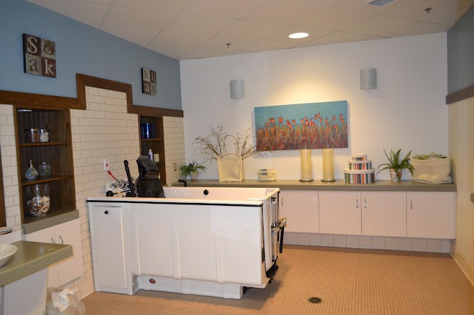 A modern kitchen interior featuring a central counter and contemporary decor.