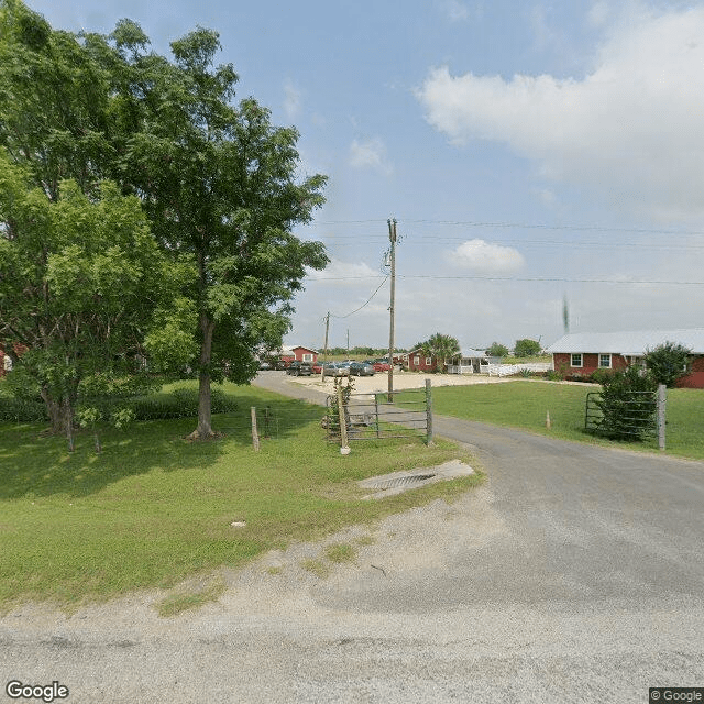 Live Oak
