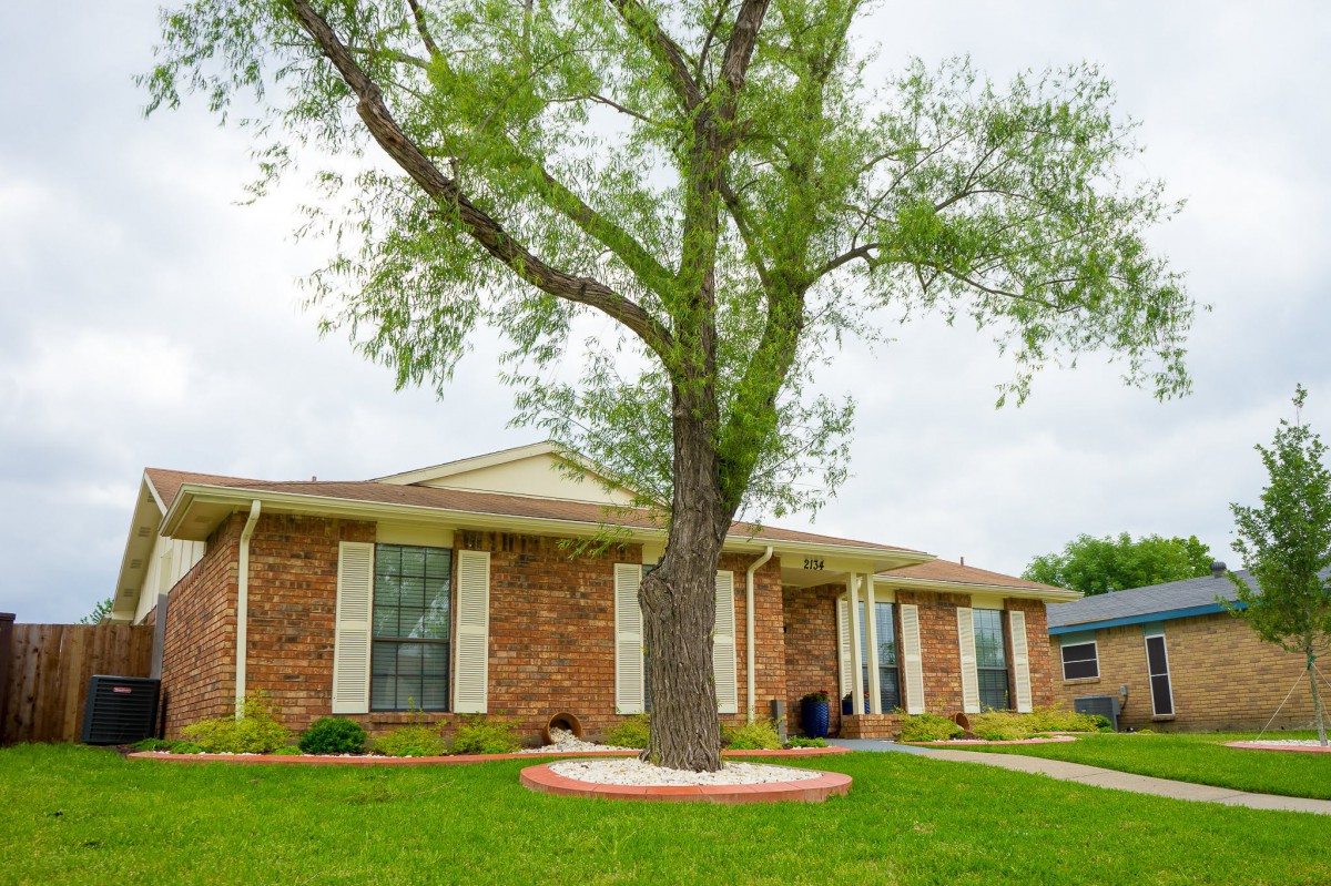 A suburban brick house with a large tree in the front yard.