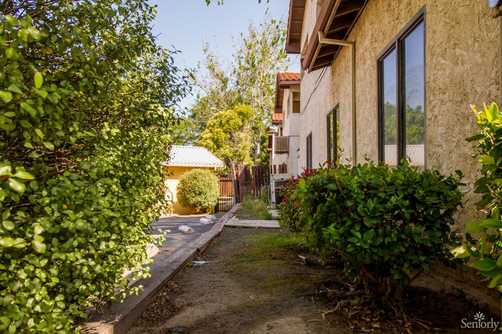 A sunny pathway lined with trees and bushes next to a building.