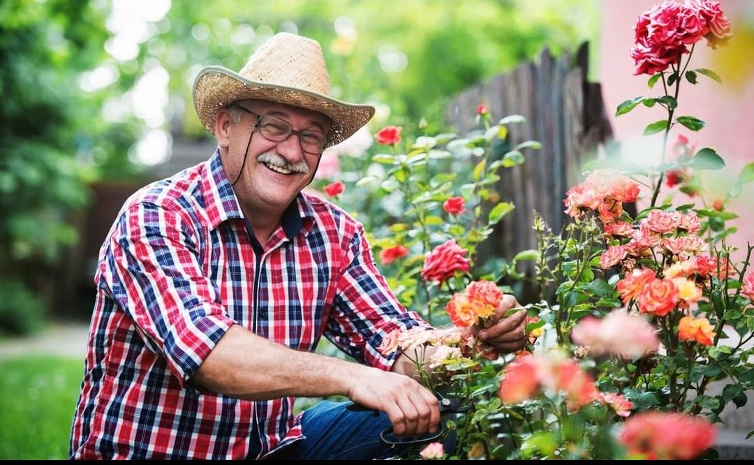 A man wearing a hat tends to his garden filled with colorful flowers.