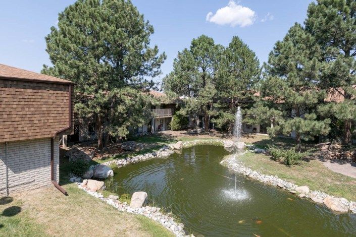 Scenic view of a tranquil pond surrounded by trees with a fountain in the center.