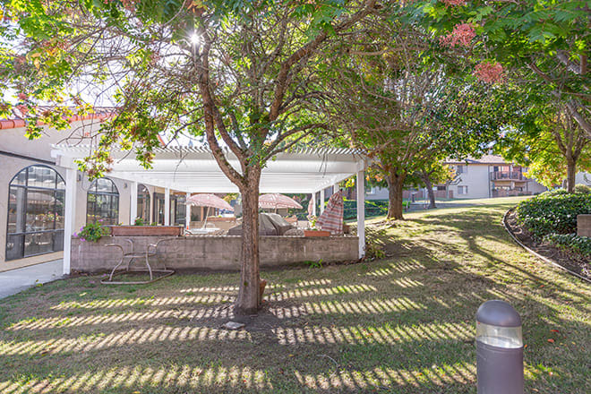 A peaceful garden scene with a pergola, tree, and sunlight casting shadows on the lawn.