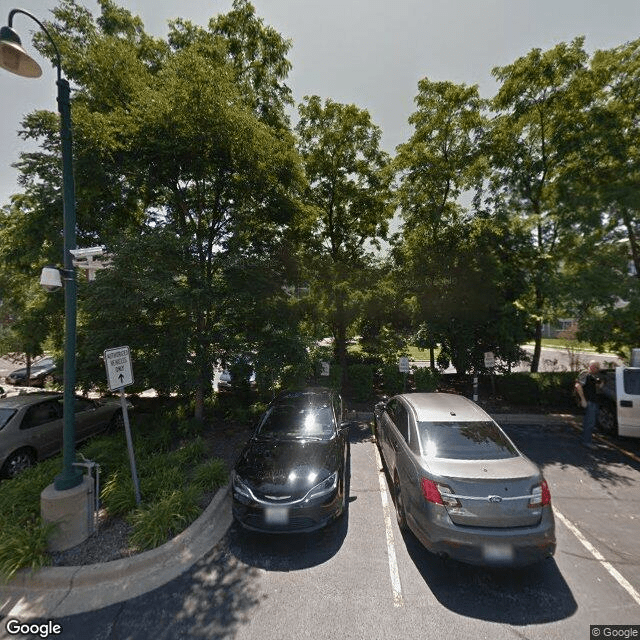 Zurich Meadows