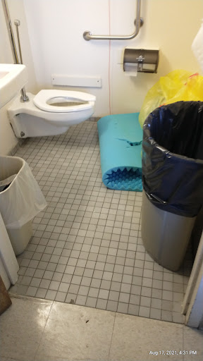 A view of a small bathroom with a toilet, trash cans, and a blue mat on the floor.
