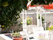 A tranquil patio area with white furniture surrounded by lush green plants.