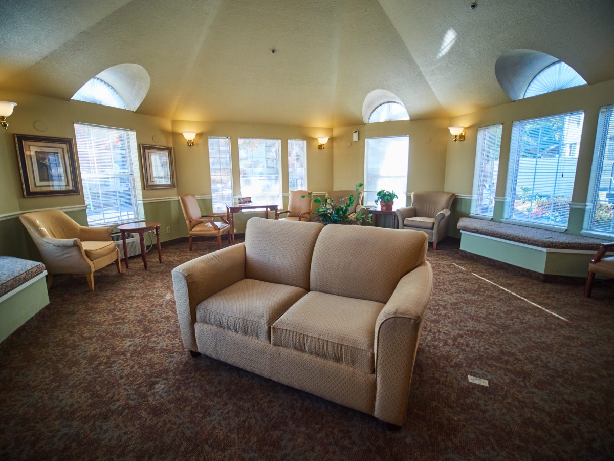 A cozy living room with a central sofa, carpeted floor, and large windows providing ample natural light.