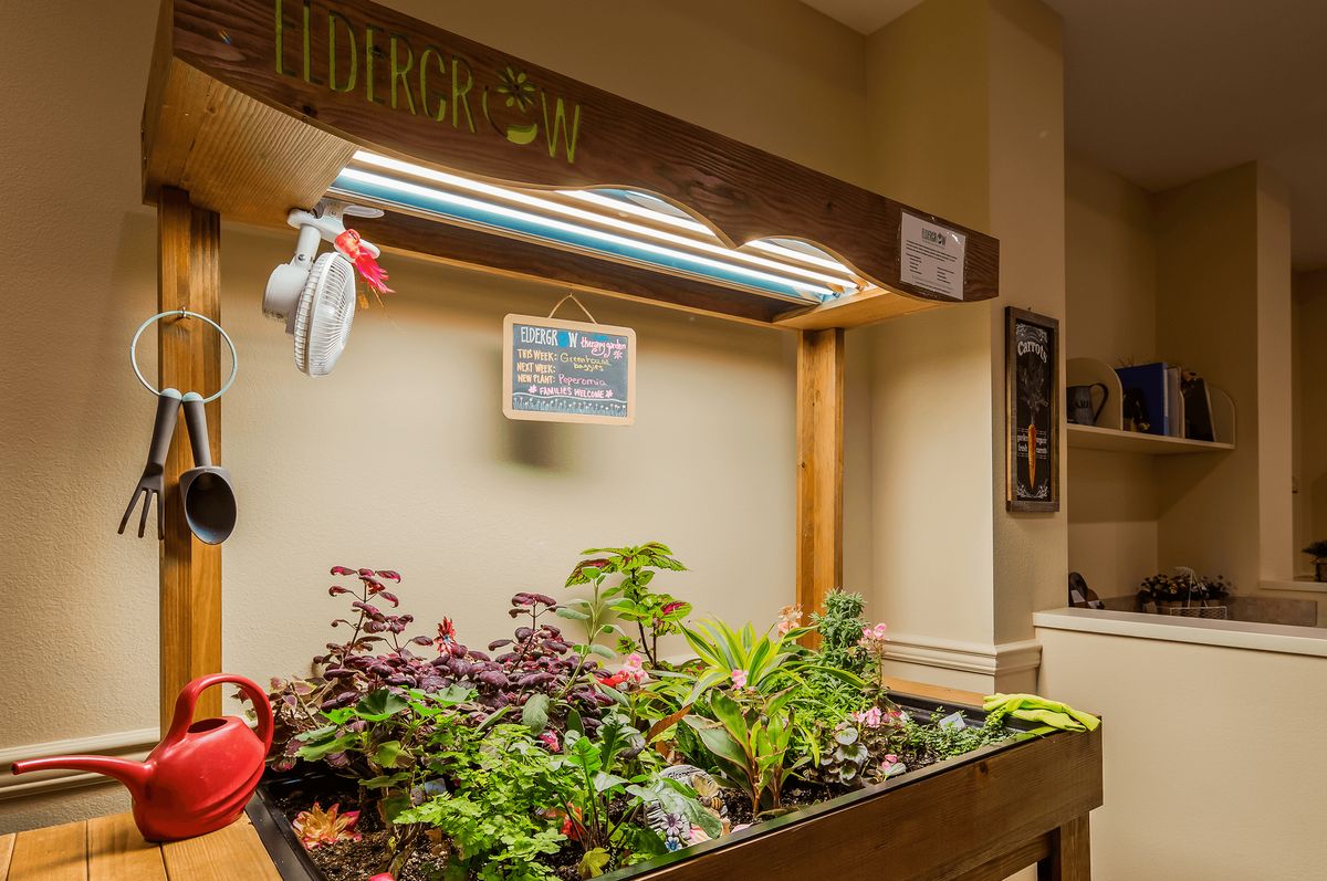 A cozy indoor garden setup with various plants thriving under grow lights.