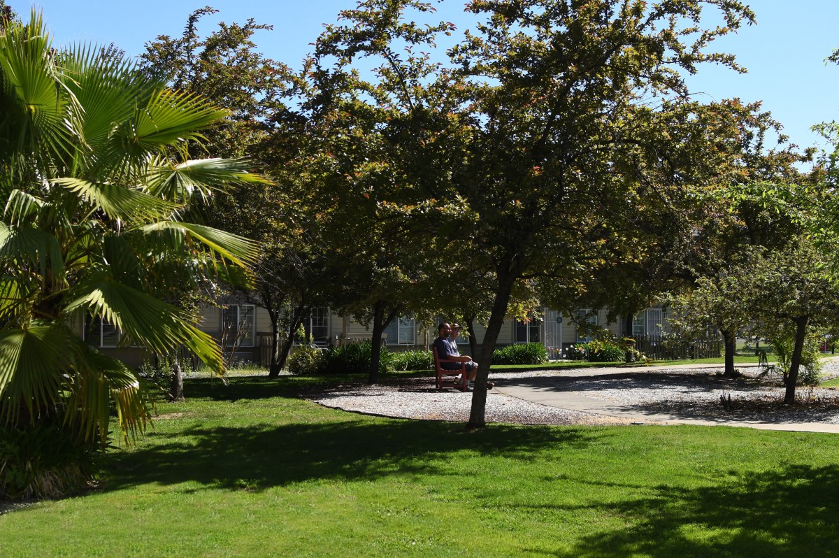 A peaceful park scene with a bench surrounded by trees and lush grass under a clear, sunny sky.