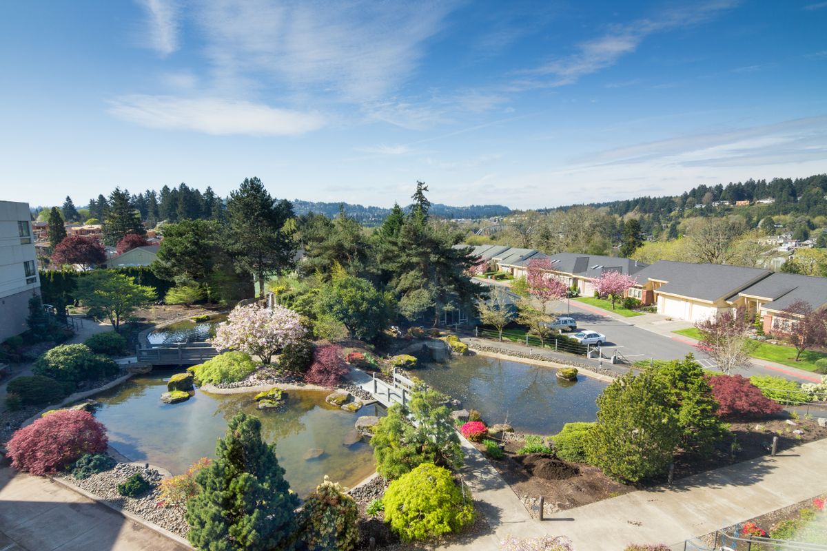 A picturesque view of a landscaped garden with a pond, surrounded by lush greenery and trees under a bright blue sky.