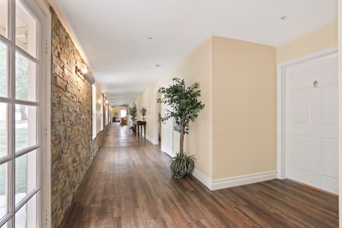 A modern hallway with wooden flooring and a stone accent wall, featuring minimalist decor and potted plants.