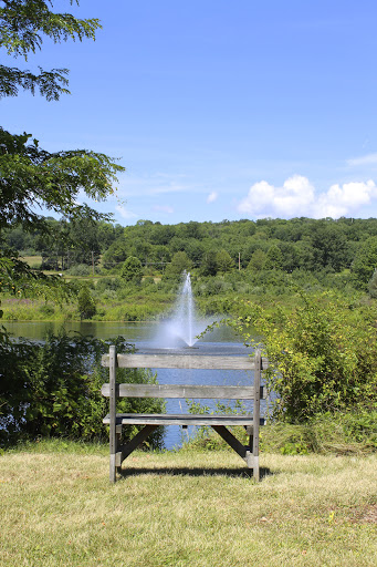 A serene view of a lake with a water fountain, framed by lush greenery and a wooden bench.