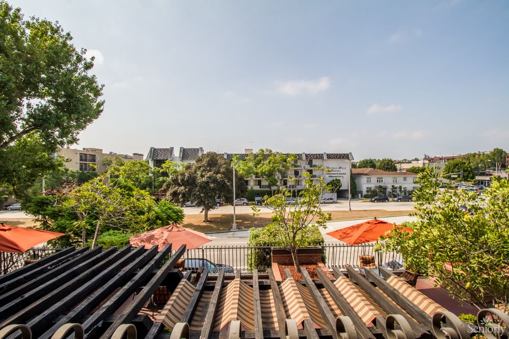 A sunny day view from a rooftop overlooking buildings and trees.