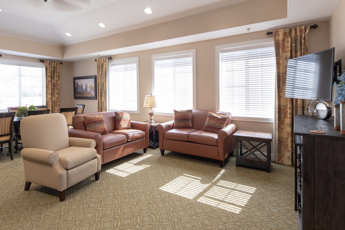 A cozy living room with sofas and a carpet, lit by natural light from large windows.