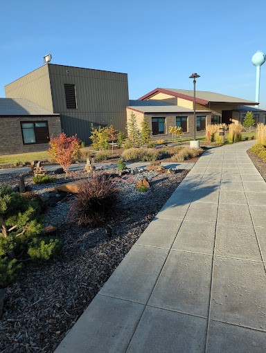 A modern building with a landscaped garden and paved pathway on a sunny day.