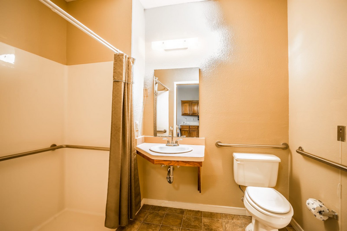 A well-lit accessible bathroom with a shower, sink, and toilet equipped with grab bars.
