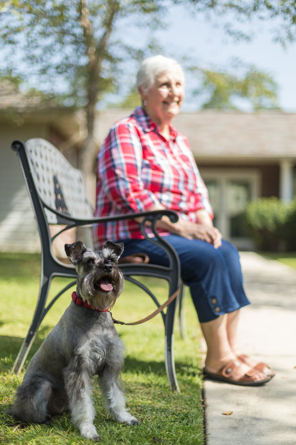 An elderly woman sitting on a bench with her dog on a sunny day.